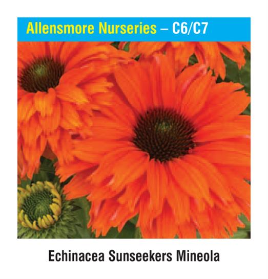 Allensmore Nurseries